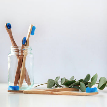 Tooth Paste & Mouth Wash - ebambu.ca