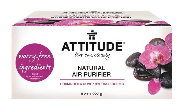 Attitude - Air Purifier - Coriander and Olive - Ebambu.ca FREE SHIPPING OVER 59$