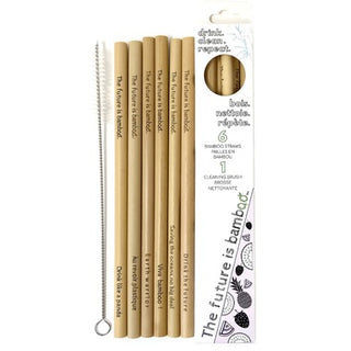 The Future is Bamboo - Bamboo Straw - 6 straws - Ebambu.ca free delivery >59$